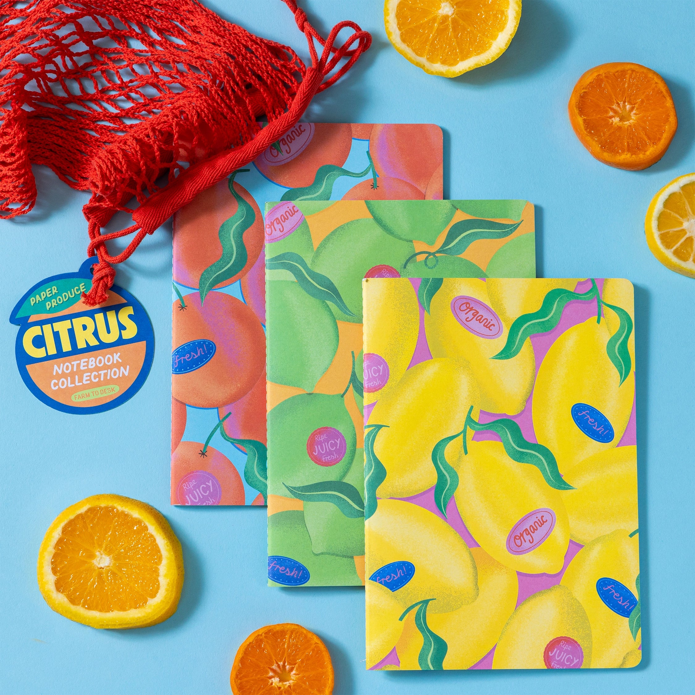 Paper Produce Citrus Notebook Collection