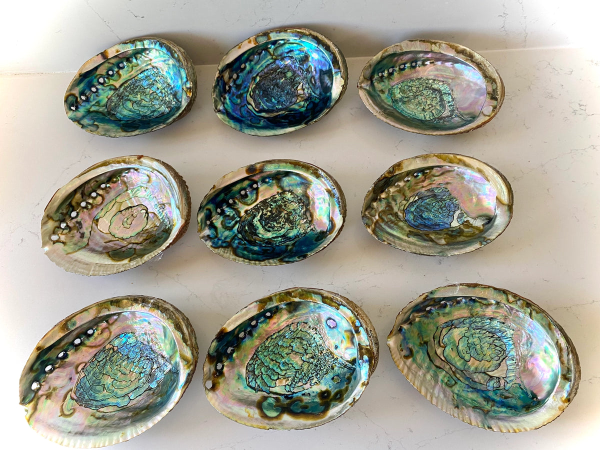 Abalone Smudge Bowls