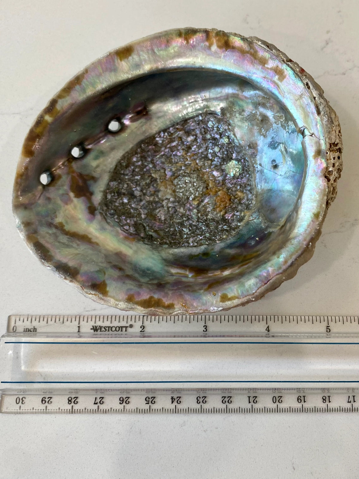 Abalone Smudge Bowls