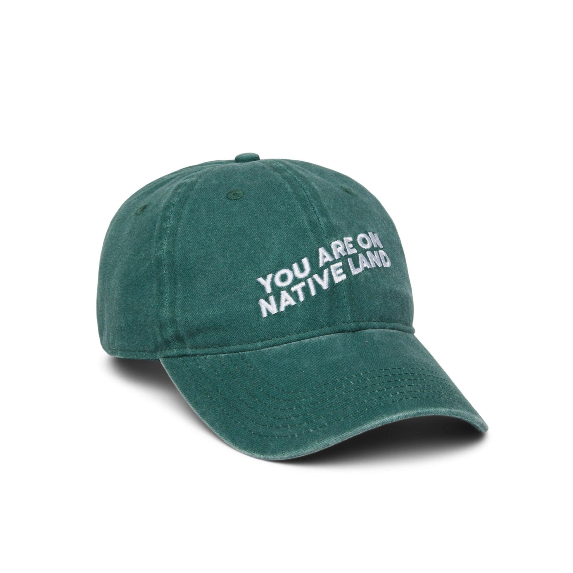 You Are On Native Land Dad Cap - Greeen