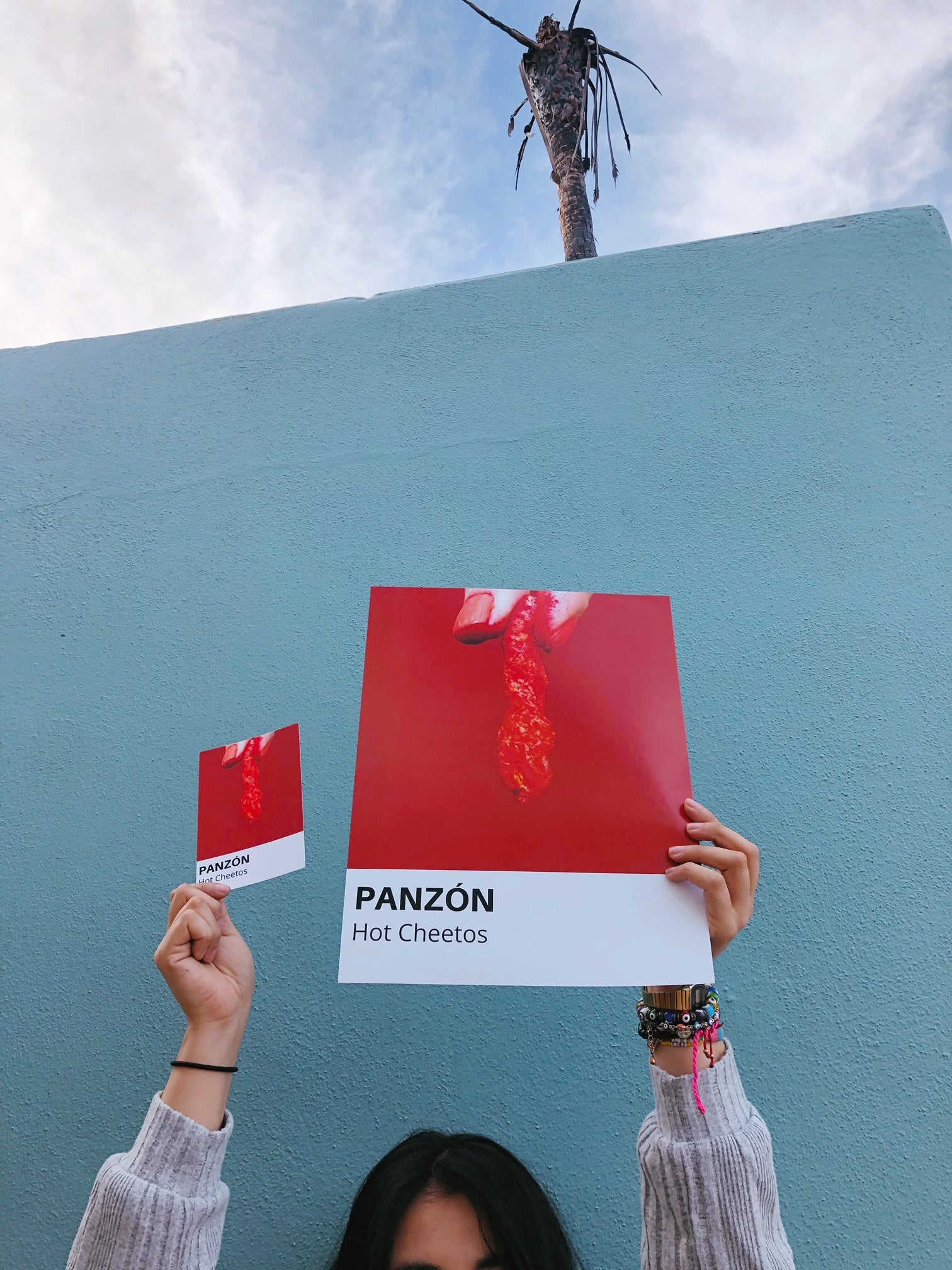 Panzón Mini Print