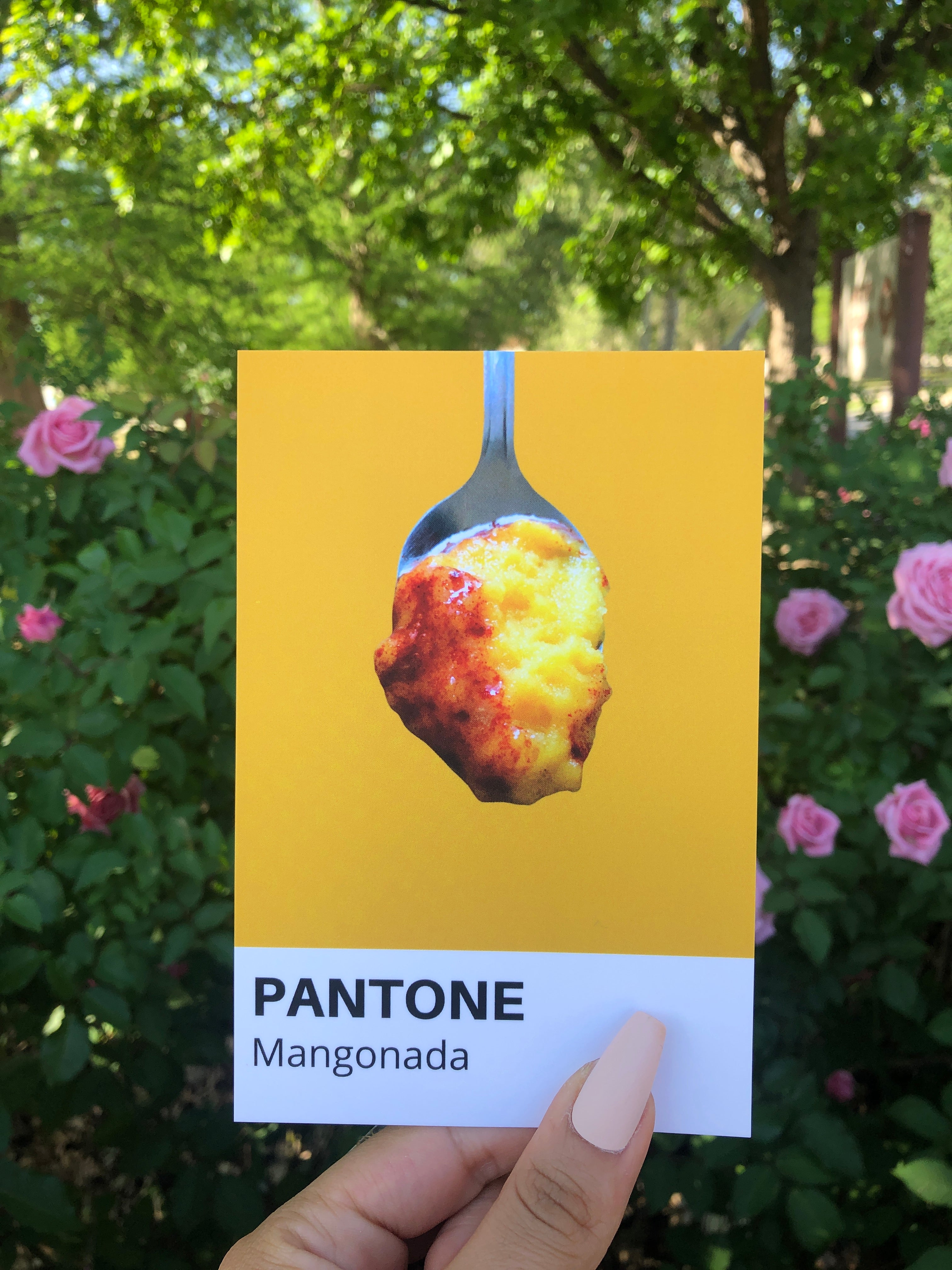 Panzón Mini Print
