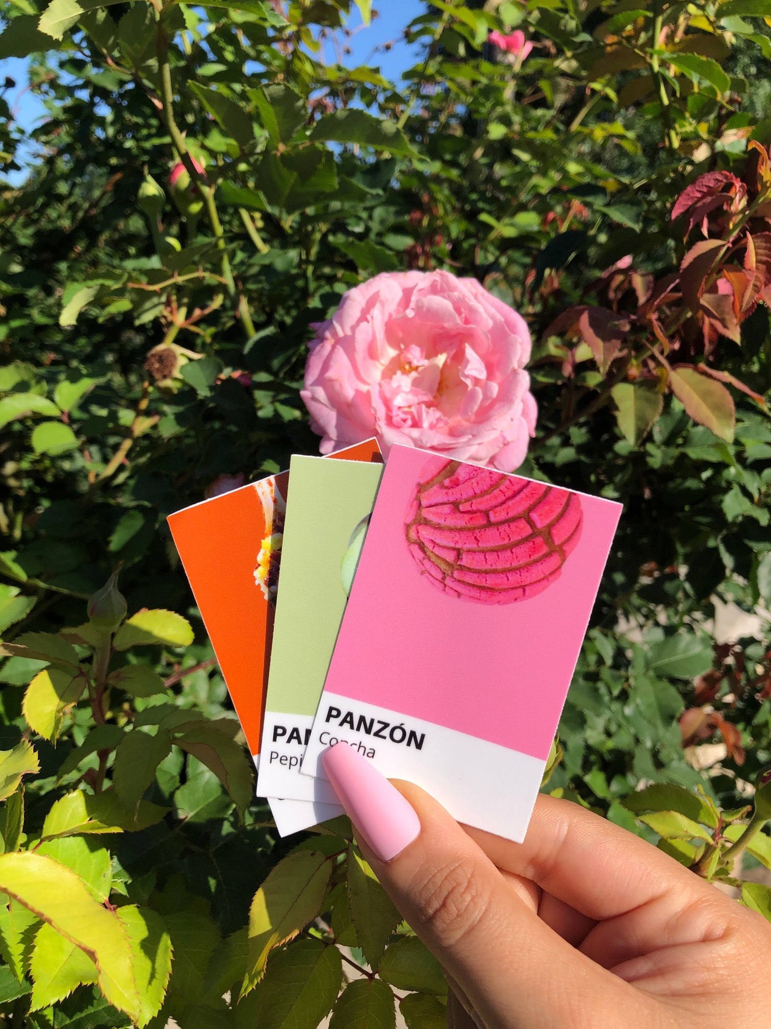 Panzón Sticker