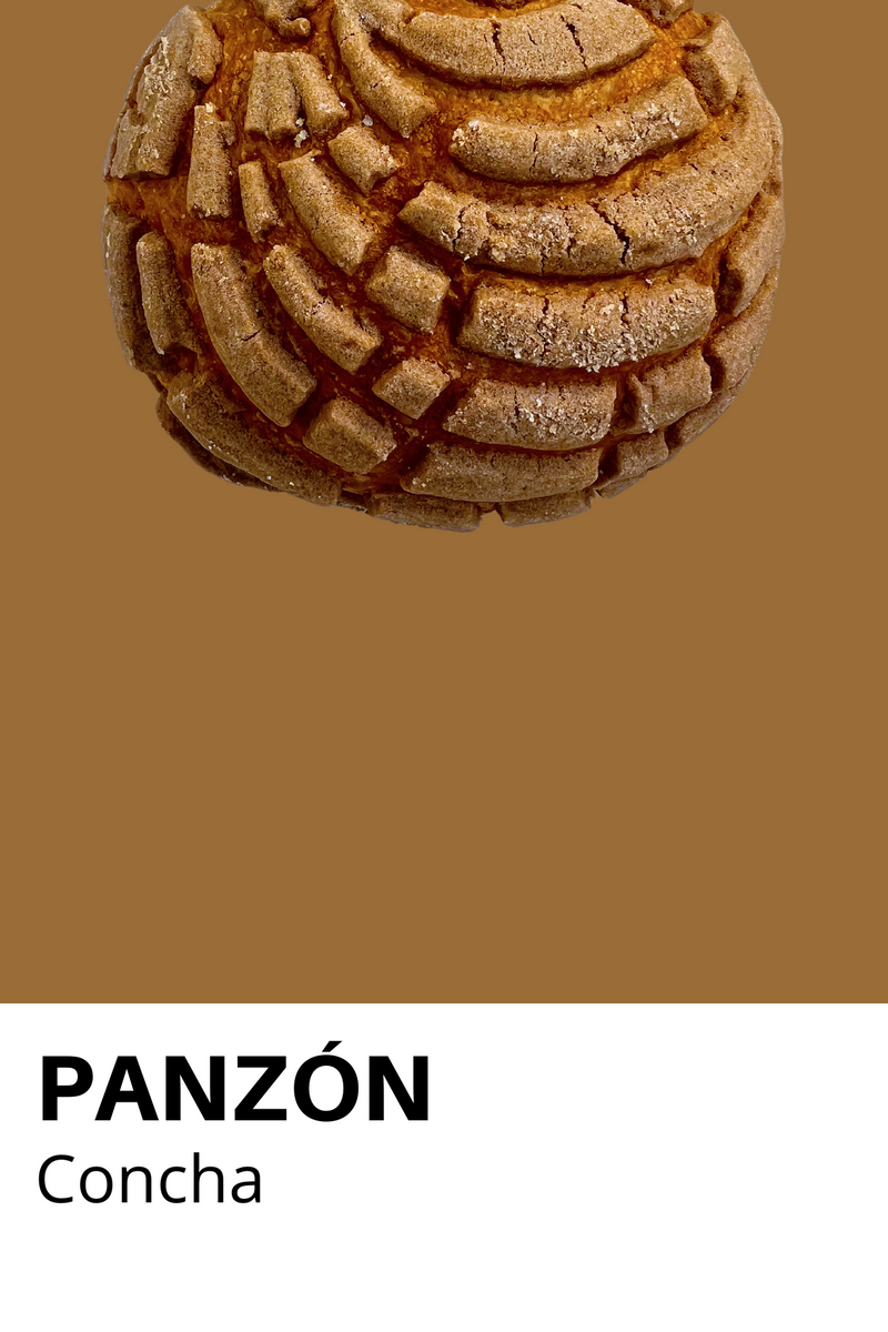 Chocolate Concha Panzón Print