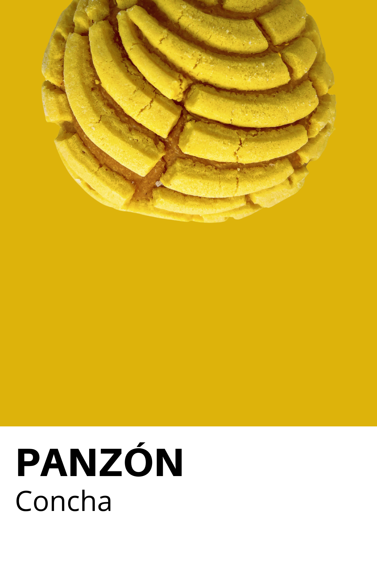 Yellow Concha Panzón Print