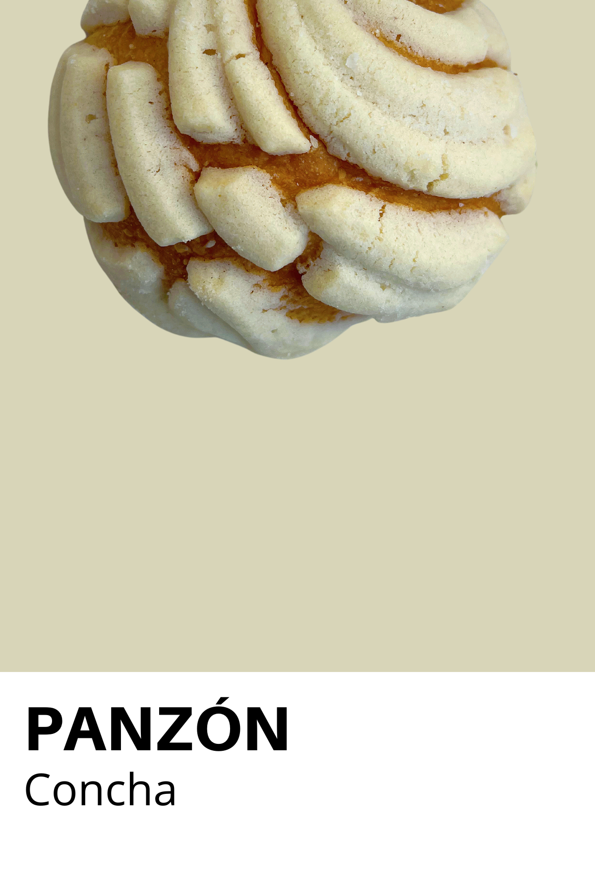White Concha Panzón Print