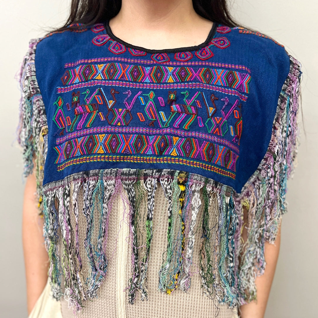 Embroidered Cape: Blue Mayan Animals