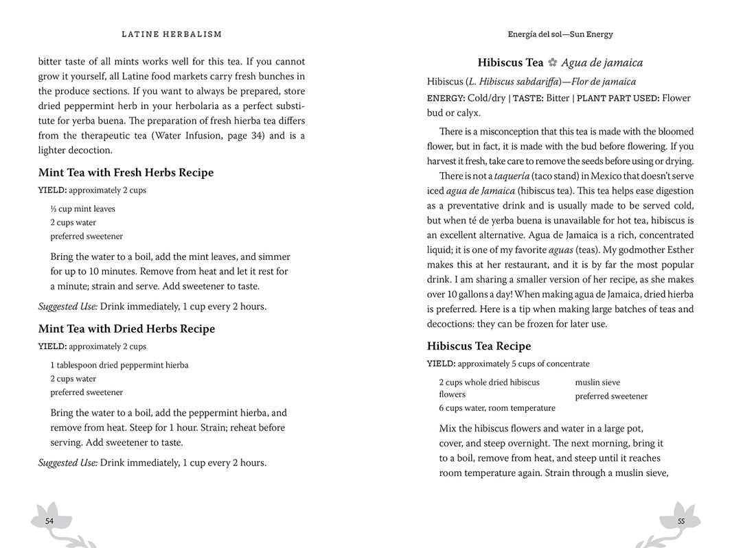 Herbalism recipe book page with hibiscus tea and mint recipes.