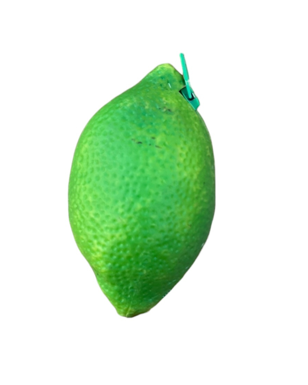 Green lime coin purse on a white background