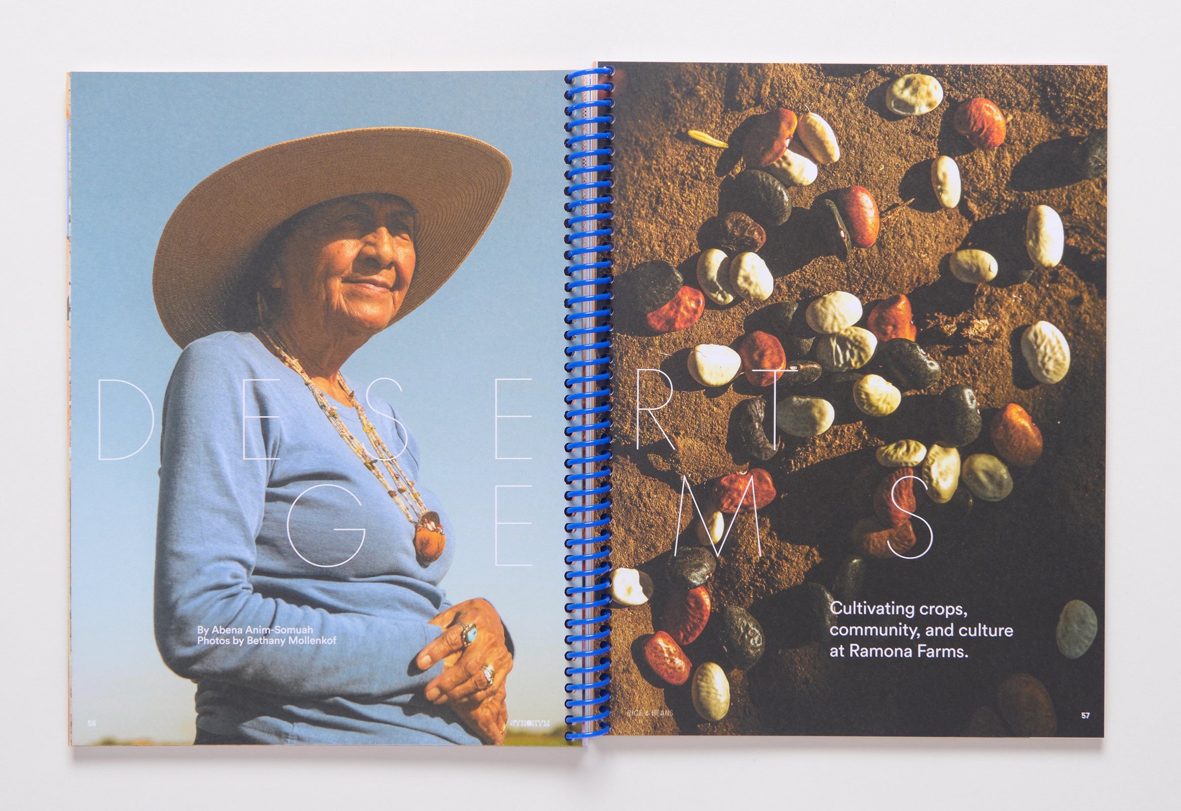 Synonym Magazine Issue 2: Rice & Beans