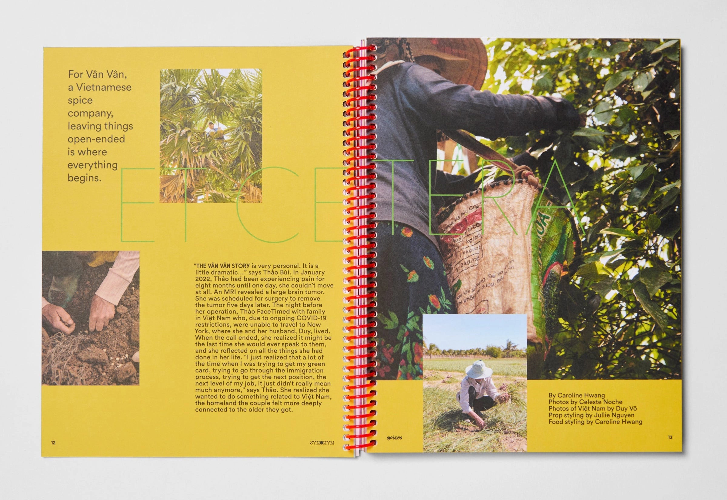 Synonym Magazine Issue 3: Spices