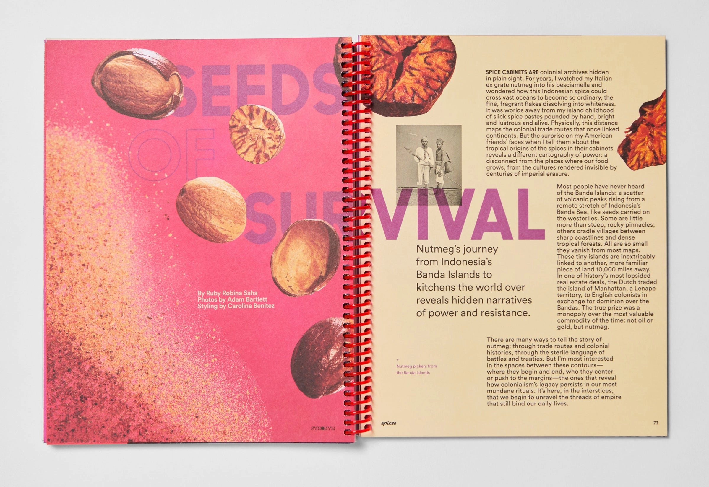 Synonym Magazine Issue 3: Spices
