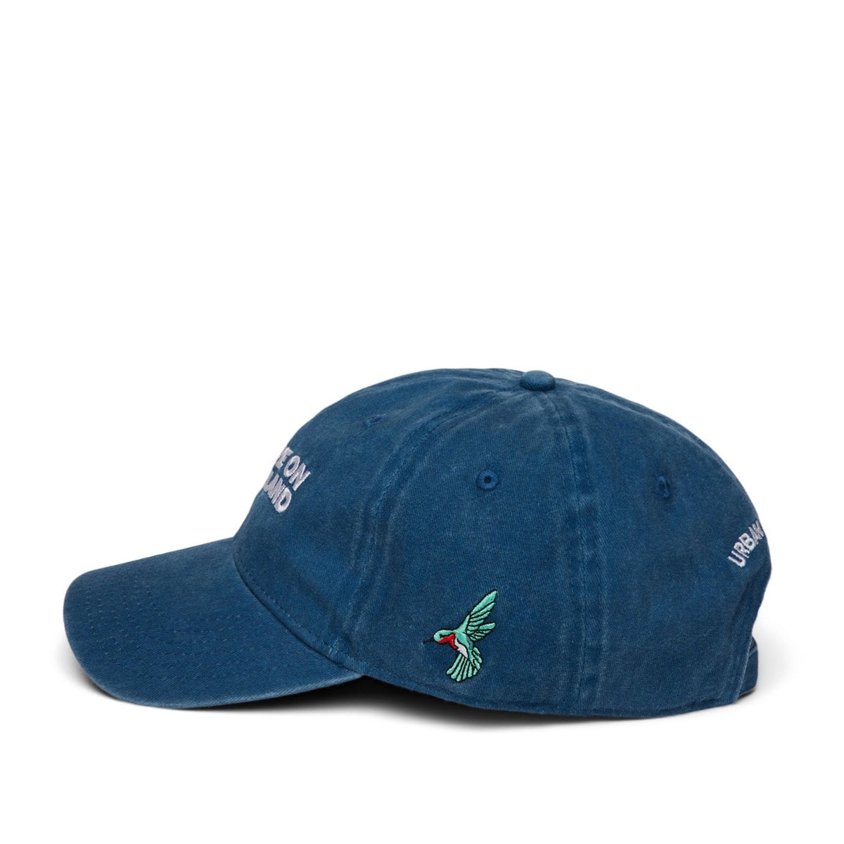 You Are On Native Land Dad Cap - Blue
