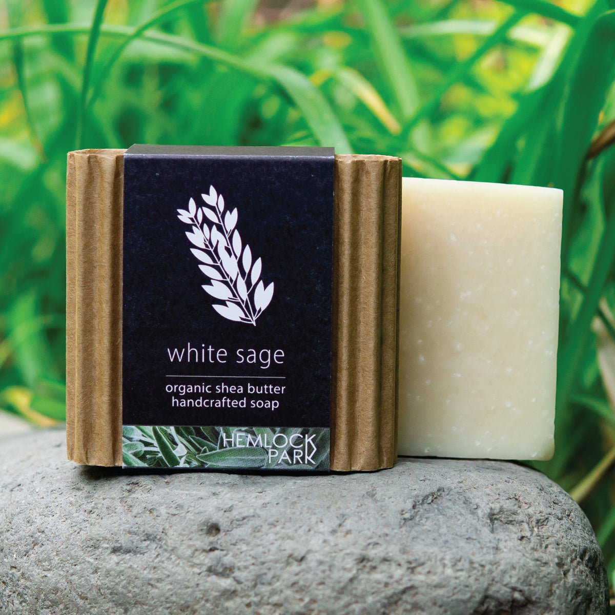White Sage Soap
