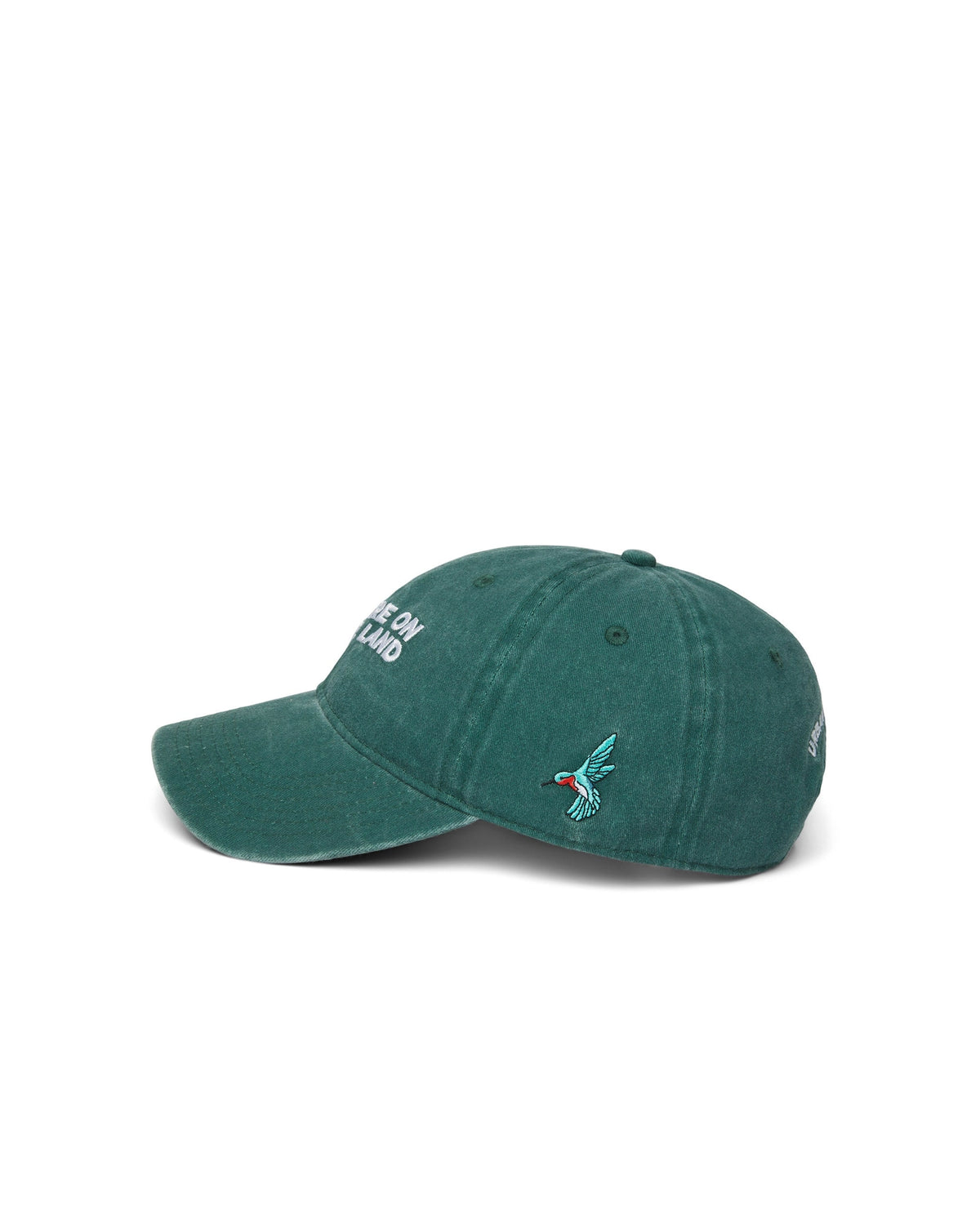 You Are On Native Land Dad Cap - Greeen