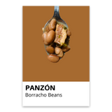 Large Panzón Print